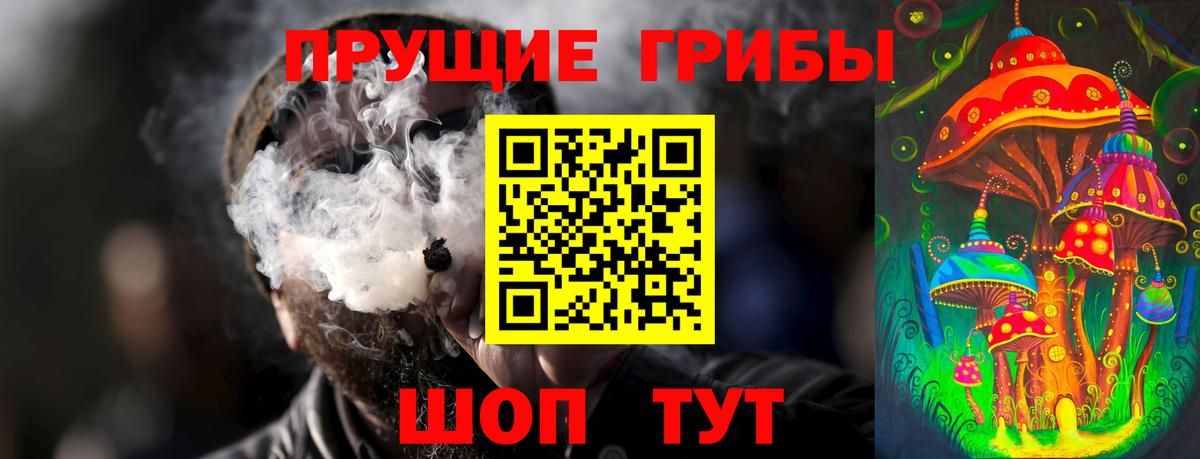 Галлюциногенные грибы Psilocybine cubensis  Псилоцибиновые грибы Psilocybine cubensis  Вход с VPN  Дзержинск 